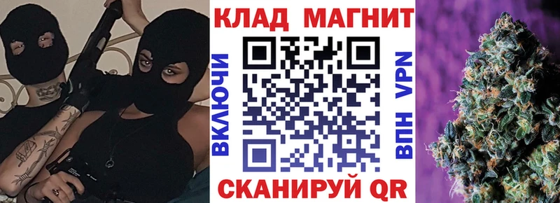 Какие есть наркотики Шенкурск Каннабис  АМФЕТАМИН  COCAIN  ГАШИШ  Мефедрон 