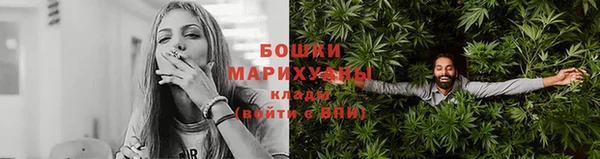 молекула духа Медвежьегорск