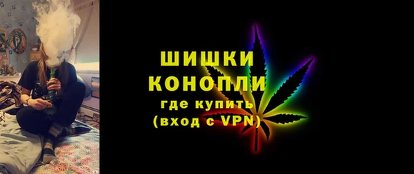 молекула духа Медвежьегорск