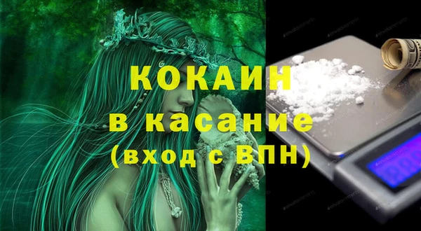 молекула духа Медвежьегорск
