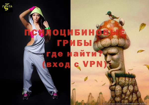 спиды Медногорск