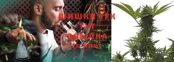 спиды Медногорск