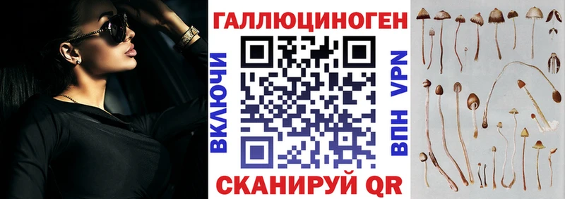 Псилоцибиновые грибы Magic Shrooms  mega tor  Шенкурск 